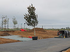 Plantation du premier arbre sur le site Zalando - Agrandir l'image (fenêtre modale)