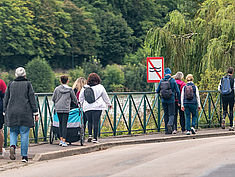 Agrandir l'image (fenêtre modale)