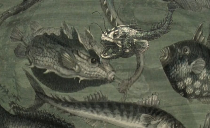 De la Terre à la Lune (série de voyages extraordinaires de Jules Verne), François Darmeliac, Jean Darmeliac. Musique : Michel Musseau. Virtuel production/Musée de Jules Verne de Nante/Universciences