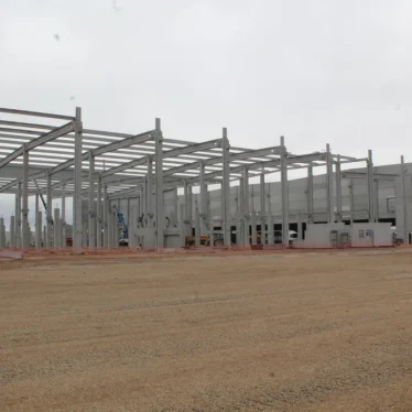 Premier arbre sur le site Zalando